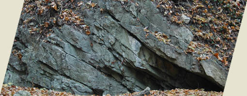 slieň